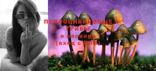 дмт Баксан