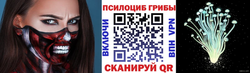 как найти закладки  Красный Сулин  Псилоцибиновые грибы MAGIC MUSHROOMS 